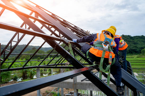 Roof Gutter Cleaning in Bridgeport, OH
